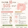 「整体で外側を、腸活で内側を。」　整体室BODYCAREろはす　江南市　扶桑町　大口町　犬山市　岩倉市