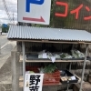 野菜棚できました