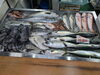 令和8年6月9日 店内「📣本日のお魚情報🐟」