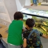 筑後川防災施設くるめウスで魚を見学したよ☆