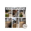 和歌山市庭周り除草作業「【和歌山市西庄】リピートご依頼ありがとうございます！お庭の除草作業」