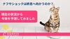 ナフサショックは終息へ向かうのか？ 現在の状況から今後を予測してみました「ナフサショックは終息へ向かうのか？ 現在の状況から今後を予測してみました」