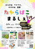 「6月はイベント出店が続きます！マルシェでレイキ内臓整体を体験しませんか」