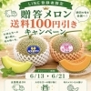 LINE登録者限定！贈答メロン送料100円引きキャンペーン【鉾田市直売所】