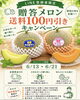 大切な人へ贈る、とっておきのメロン「LINE登録者限定！贈答メロン送料100円引きキャンペーン【鉾田市直売所】」
