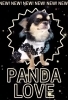 「PANDATEE&タンク（フリル付き）順次発送中✨」
