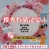 ついに発表‼️『桜フォトコンテスト2026』優秀作品が決定しました🌸
