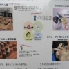 6月13日『午の日ご神馬ふれあい感謝デー』です！