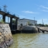 本日の水門BAY「【6月10日】麦秋から田植えへ🌾定休日前の晴天スタミナメニュー＆会食用特別弁当！🍱✨」