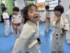 「6月9日(火)の稽古風景≪ 明石/空手/スポーツ/運動/幼児/小学生/お稽古/習い事≫」