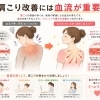 肩こり改善には血流改善が重要です｜関市で肩こりにお悩みの方へ【関市 接骨院】｜当日予約OK・腰痛/肩こり/交通事故対応