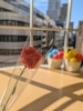 学びの節目にいただいた一輪のカーネーション「なぜ私が産後ピラティスを続けているのか」