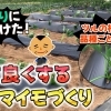 美味しいサツマイモ栽培へ! 畑の熟成期間を経て品種選定から植え付けのこだわりが違います。　たねのハシモトミヤ