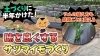 「美味しいサツマイモ栽培へ! 畑の熟成期間を経て品種選定から植え付けのこだわりが違います。　たねのハシモトミヤ」