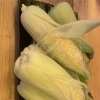 静岡名物森町　甘々娘入荷‼️/藤枝居酒屋/焼き鳥/ディナー