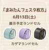 展示予定ランドセル「枚方でラン活中の方必見！6/13(土)まみたんフェスタ枚方にカザマランドセルが出展決定🎪」