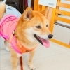 今日のお友達