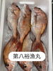 鯛「おはよう御座います」