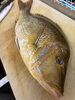 タマン！沖縄の高級魚「おこぜにタマン！」