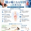 今日は「膝が痛くなる原因と改善方法」を、医学的・トレーナー的な視点から考える膝痛対策について考えてみました。