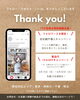 感謝を込めて！防犯網戸キャンペーン「防犯網戸動画17万回再生記念！公式ウェブサイト開設＆防犯網戸キャンペーン」