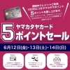 宮崎山形屋【５ポイントセール】
