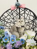 スコティッシュフォールド　シャンプー後「岡山猫専門サロン　猫はお掃除モップ！？」