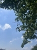 天気が良く現場も捗ります！「夏本番前に！おうちのこと、ご相談ください。」