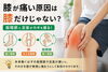 体の歪みを整えて膝の負担を軽減「【膝が痛い原因は膝だけじゃない？】」