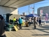 「6月20日（土）船橋港親水公園で船橋漁港の朝市が開催されます！　」