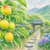 🌿 梅子黄（うめのみきばむ）｜青梅が黄金色へと変わる季節 🌿
