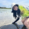 【新居浜】田植えしてみた