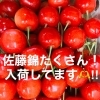 佐藤錦たくさん入荷しました！！