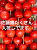 「佐藤錦たくさん入荷しました！！」