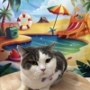 🐈猫ちゃん特集📸✨