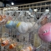 今、小学生に話題のスクイーズが入荷しました！