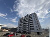 静岡県三島市 築浅マンション「南小・南中エリア×買い物便利な立地で暮らすファミリー向けマンション」
