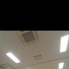 🔰初心者さんもご経験者のWelcome❤‪🫶🏻︎‪💕︎︎【足立区 六町/八潮 ヨガ教室/フラダンス教室 なつこヨガ/なつこフラ 】