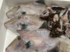 とれとれピチピチ！本日のお魚「本日入荷の新鮮な魚をまるごと味わえるおすすめ料理」