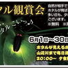 6月はホタル観賞会へ！里山の夜と天然温泉を楽しみませんか♨️ 奈良の迷いシカ🦌シカやんもいるよ！