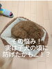 トイプードル8ヶ月「吠える！噛みつく！落ち着きない！その悩み！子犬教室で防げるかも」