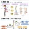 背骨コンディショニング募集中