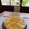 今週のもかちゃんのチーズケーキ☆