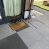 店前にカモの親子が遊びに来てくれました