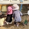 【児発・放デイ】動物とのふれあい【札幌市北区児童デイ】