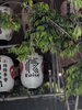 龍宮神社も提灯飾られました♥「お神輿後に月曜は営業します✨️21時前後になると思われます(⁠・⁠∀⁠・⁠)」