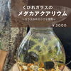 34Garden Flower school 〜🐟メダカのアクアリウム🐟～