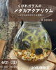 「34Garden Flower school 〜🐟メダカのアクアリウム🐟～」