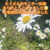 背中・お尻ほぐしモニター体験へのご参加ありがとうございました