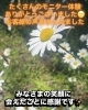「背中・お尻ほぐしモニター体験へのご参加ありがとうございました」